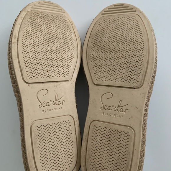 Sea Star - Picture 3 of 4